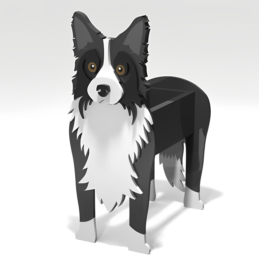 Fioriera Border Collie