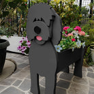 Fioriera Goldendoodle Nero