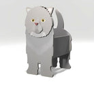 Fioriera Exotic Shorthair