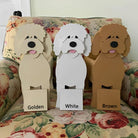 Fioriera Goldendoodle