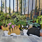 Fioriera Gatto Bianco Arancione