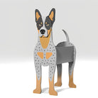 Fioriera Australian Cattle Dog