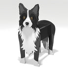 Fioriera Border Collie