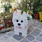 Fioriera West Highlander White Terrier
